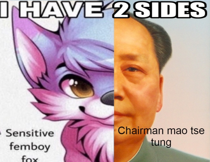 File:I Have Two Sides meme 7.jpg - Meming Wiki