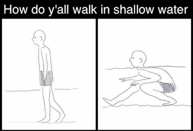 file-how-do-y-all-walk-in-shallow-water-jpg-meming-wiki