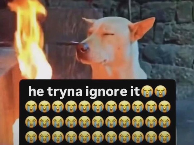 File:He Tryna Ignore It.jpg