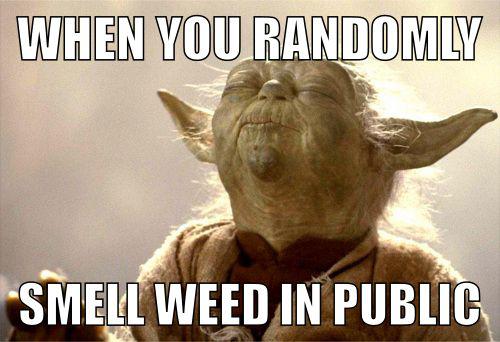 File:Yoda Smell meme 1.jpg