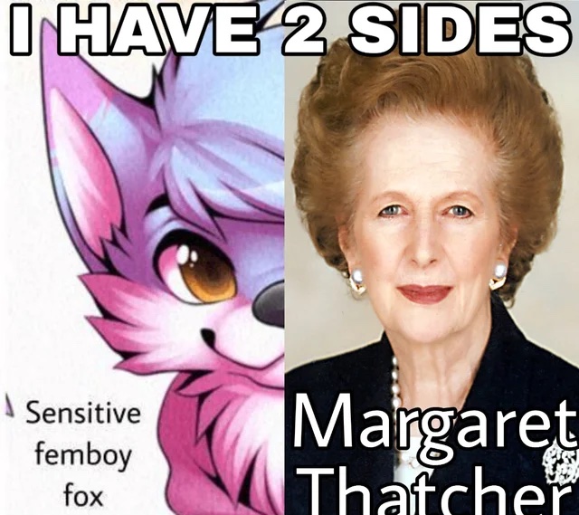 File:I Have Two Sides meme 3.jpg - Meming Wiki
