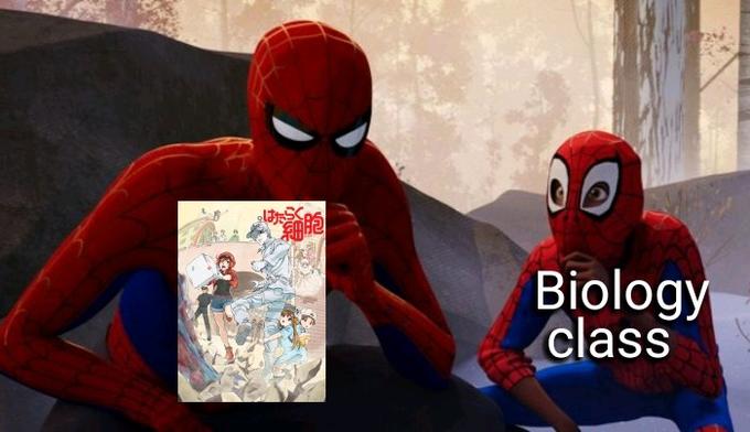 File:Learning to be Spider-Man meme 4.jpg