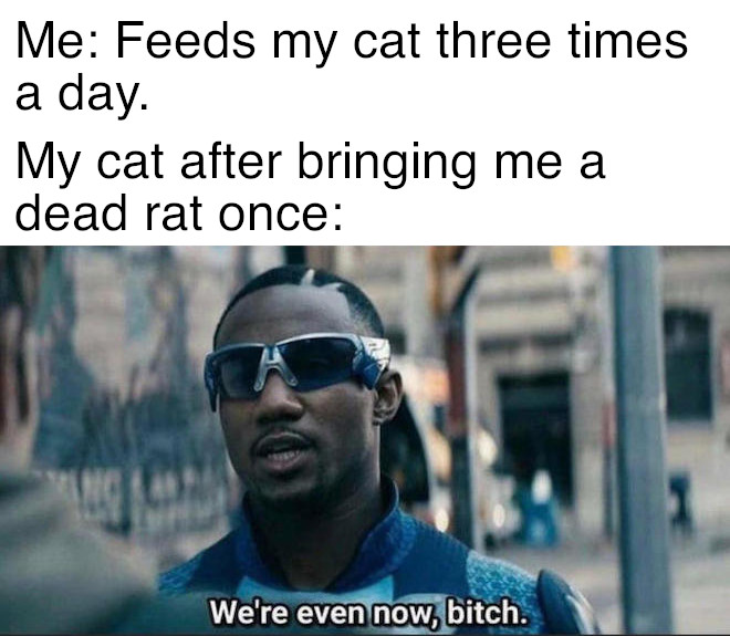 File We re Even Now Bitch Meme 2 jpg Meming Wiki file-we-re-even-now-bitch-meme-2-jpg-meming-wiki