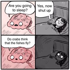 Are You Going to Sleep? meme #4
