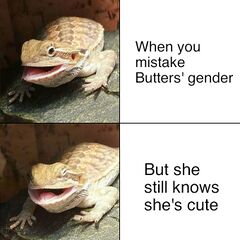 Butter the Bearded Dragon meme #4