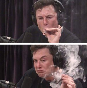 Elon Musk Smoking Weed: blank meme template (2 panel)