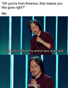 You Just Insulted My Entire Race Of People meme #3
