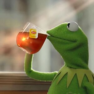 Kermit Drinking Tea: blank meme template
