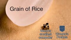 A Grain Of Rice meme #3