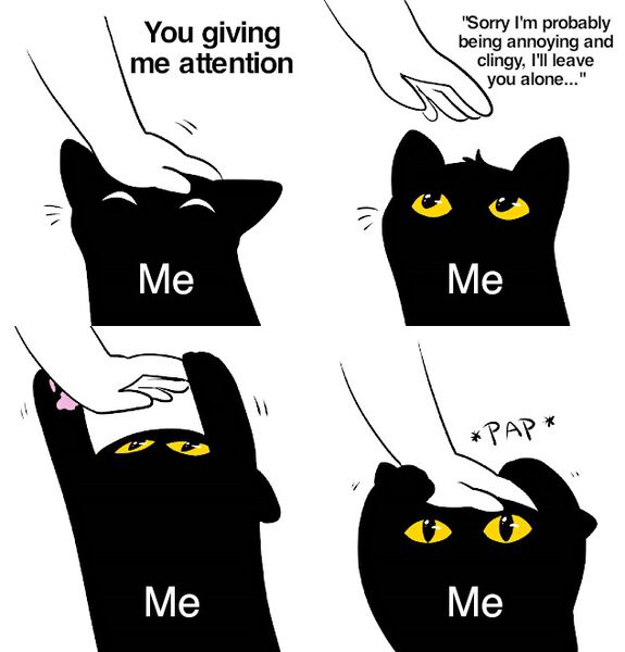 File:Cat Pap meme 1.jpg