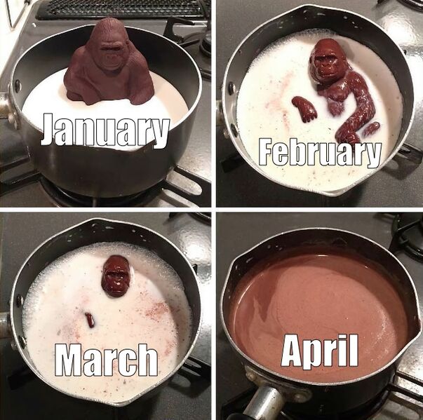 File:Chocolate Gorilla Melting meme 4.jpg