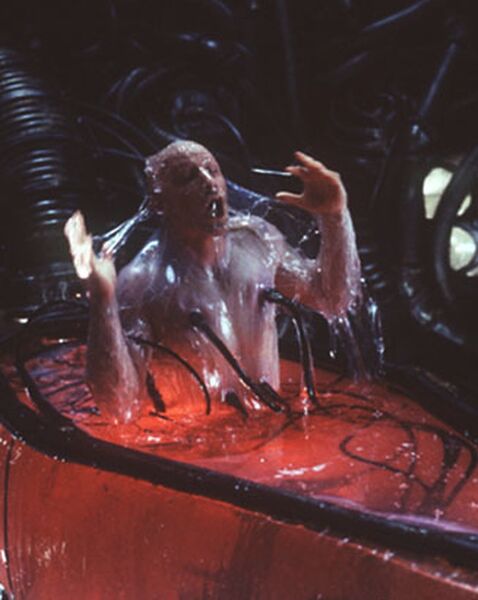 File:Noooo, Put Me Back.jpg