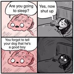 Are You Going to Sleep? meme #3