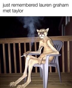 Cigar Cougar meme #3