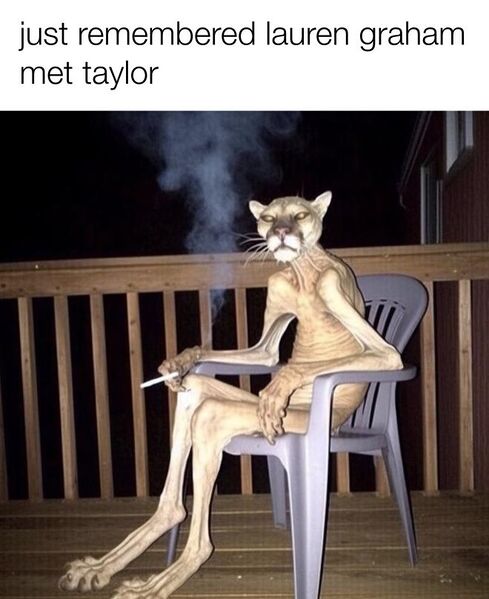 File:Cigar Cougar meme 3.jpg