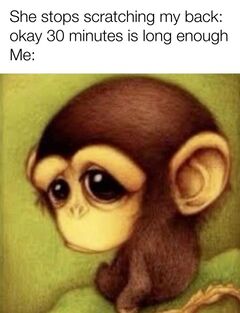 Sad Baby Monkey meme #1