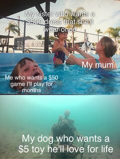 Mother Ignoring Kid Drowning In A Pool meme #4