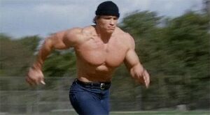 Running Arnold Schwarzenegger - Meming Wiki