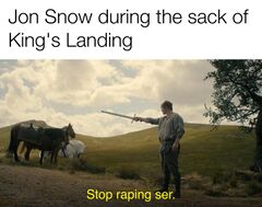 Stop Raping, Ser meme #2