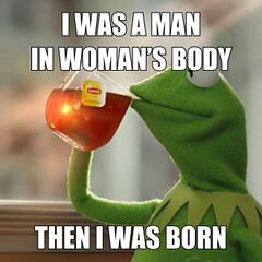 Kermit Drinking Tea meme #4