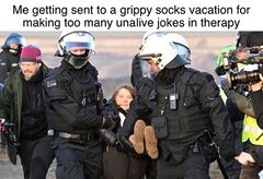 Greta Thunberg Arrested In Germany meme #3