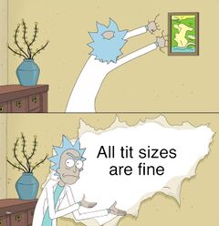 Rick Opening Wall meme #3