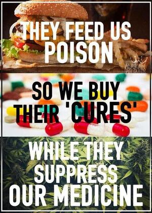 They Feed Us Poison