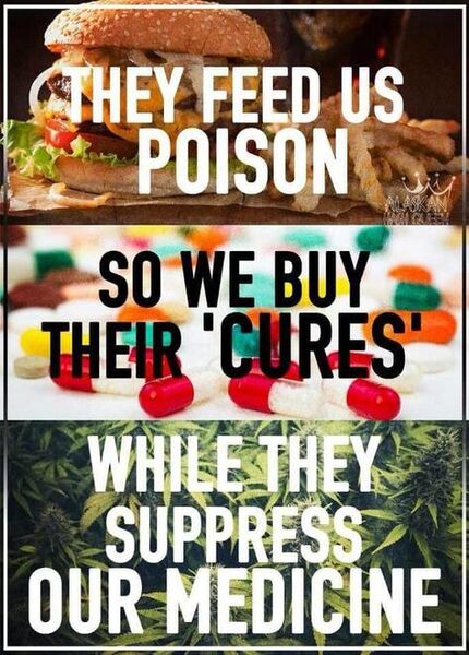 File:They Feed Us Poison.jpg