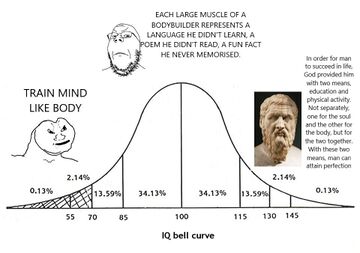 Midwit - Meming Wiki