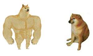 Swole Doge vs Cheems: blank meme template