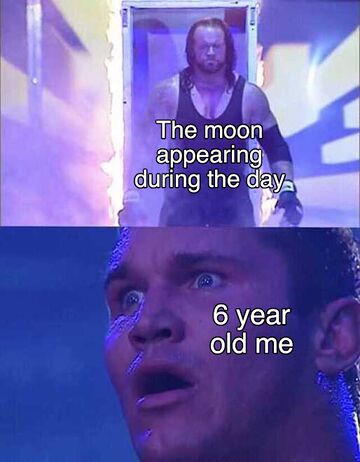 Undertaker Entering Arena Meming Wiki