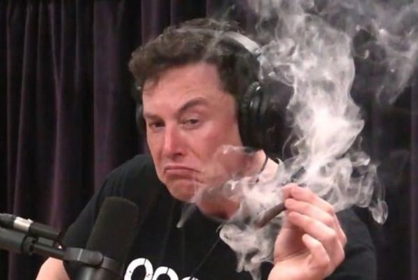 Elon Musk Smoking Weed - Meming Wiki