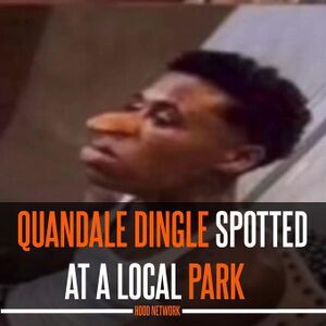 Quandale Dingle