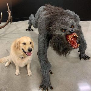 Dog vs. Werewolf: blank meme template
