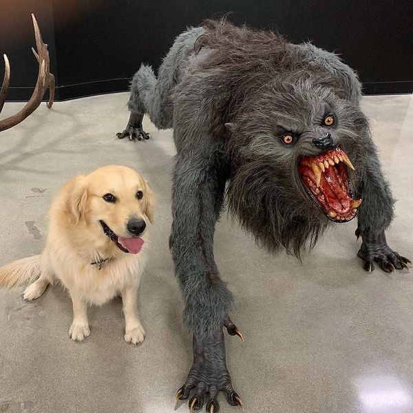 File:Dog vs. Werewolf.jpg