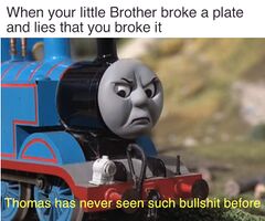 Thomas Had Never Seen Such Bullshit Before meme #3