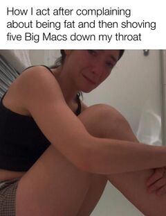 Lorde Crying meme #1
