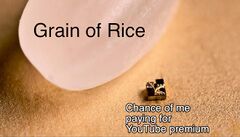 A Grain Of Rice meme #4