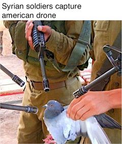 Pigeon Surrounded By Guns meme #3
