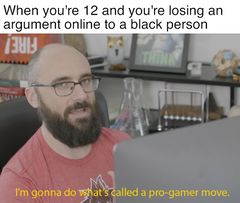I'm Gonna Do What's Called a Pro Gamer Move meme #4