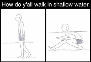 How Do Y'all Walk in Shallow Water: blank meme template