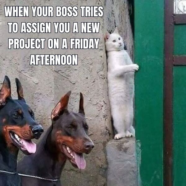 File:Friday meme 19.jpg