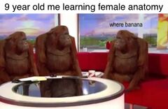 Where Banana meme #1