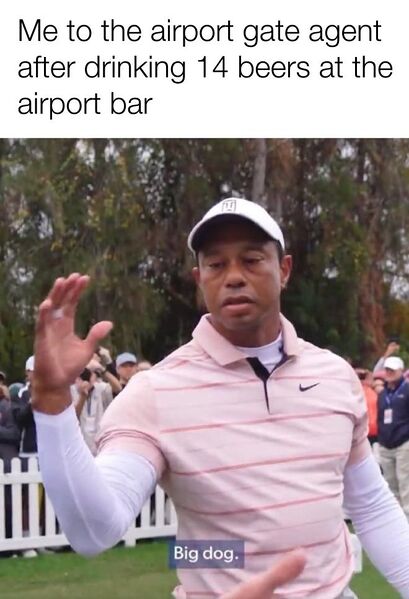 File:Tiger Woods Big Dog meme 3.jpg