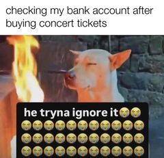 He Tryna Ignore It meme #4
