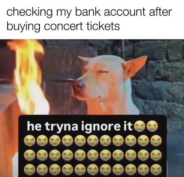 File:He Tryna Ignore It meme 4.jpg