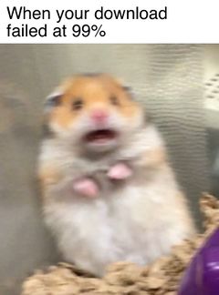Scared Hamster meme #3