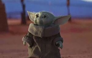 Baby Yoda Meming Wiki