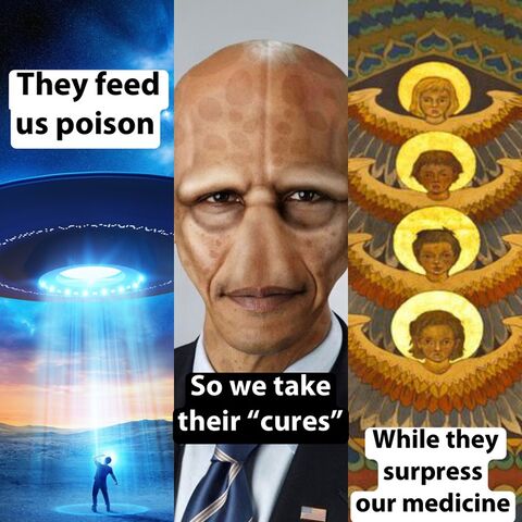 They Feed Us Poison Meming Wiki