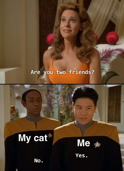 File:Are You Two Friends? meme 2.jpg